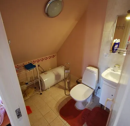 Gasthuis Ida Majutus